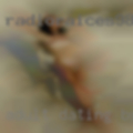 Adult dating Buffalo